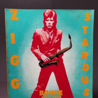 Ziggy Stardust Bowie 1972:1973 Mick Rock Published by St. Martin's Press 1.jpg