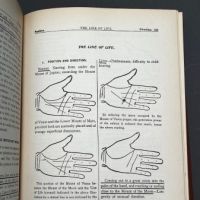 The Study of Palmistry For Prosessional Purposes by Saint Germain 12.jpg