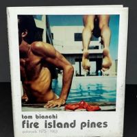 Tom Bianchi Fire Island Pines Polaroids 1975-1983 Hardback with DJ 1.jpg