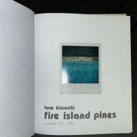 Tom Bianchi Fire Island Pines Polaroids 1975-1983 Hardback with DJ 4.jpg