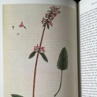Culpeper's Herbal The English Physican Enlarged Hardback with Slipcase Folio Society 2007 7.jpg