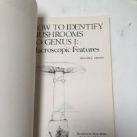 How to Identify Mushrooms to Genus I-IV Published by Mad River Press 5.jpg