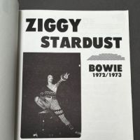 Ziggy Stardust Bowie 1972:1973 Mick Rock Published by St. Martin's Press 3.jpg