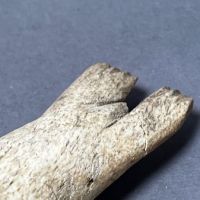 Inuit Carved Seal Bone 3.jpg