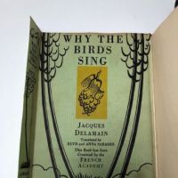 Prentiss Taylor Study and Mock Up Book for Why Birds Sing by Jacques Delamain 5.jpg
