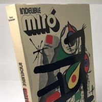 Indelible Miro by Yvon Tailandier Pub by Tudo Hardback with Slipcase 4.jpg