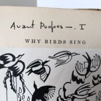 Prentiss Taylor Study and Mock Up Book for Why Birds Sing by Jacques Delamain 10.jpg