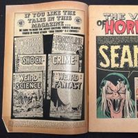 The Vault of Horror No. 25 July 1952 published by EC 8.jpg