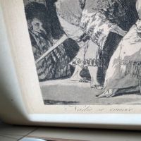 Francisco Goya Nadie se Conoce 14.jpg