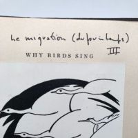 Prentiss Taylor Study and Mock Up Book for Why Birds Sing by Jacques Delamain 12.jpg