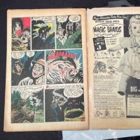 The Unseen No. 12 November 1953 published by Stand Comics 17.jpg