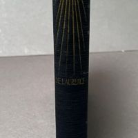 Medical Hypnosis Magnetic Hypnotism by L. W. de Laurence 1925 Hardback 5.jpg