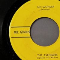 The Avengers Crying All Alone b:w No Wonder on Mr. Genius 8.jpg