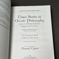 Three Books of Occult Philosophy LLewellyn's Sourcebook Series 3.jpg