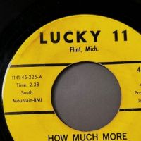 2 Terry Knight and The Pack How Much More b:w I’ve Been Told on Lucky 11 5.jpg