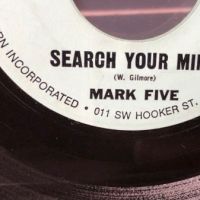 Mark Five Search You Mind on NWI  2700 Northwestern Incorporated Garage Single 3.jpg