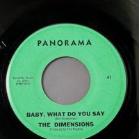 The Dimensions Knock You Flat b:w Baby What Do You Say on Panorama 7.jpg