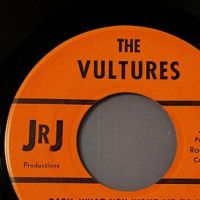 The Vultures Baby What You Want Me To Do b:w Good Lovin’ on JRJ Productions 5.jpg