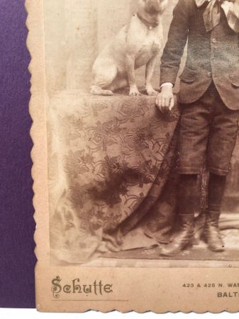 Schutte Baltimore Photographer Cabinet Card Young Boy with His Dog on Table 4.jpg