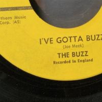 The Buzz I’ve Gotta Buzz : You’re Holding Me Down on Coral 62492 Promo 9.jpg