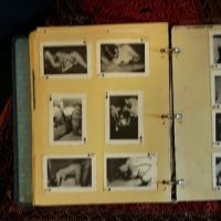 Dirty Scrapbook of Images Circa 1950 12.jpg