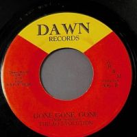 The 3rd Evolution Don’t Play With Me b:w Gone Gone Gone on Dawn Records 7.jpg