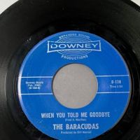 The Baracudas When You Told me Goodbye Downey Records 2.jpg