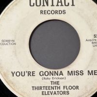 Thirteen Floor Elevators You’re Gonna Miss Me b:w Tried To Hide on Contact Records 4.jpg