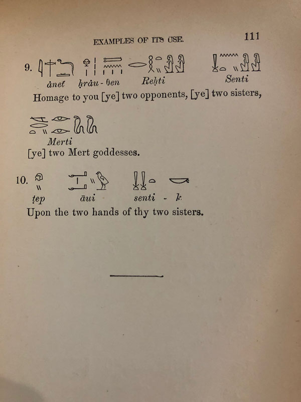 Lessons in Egyptian Hieroglyphics by E. A. Wallis Budge Hardback 3rd Ed ...