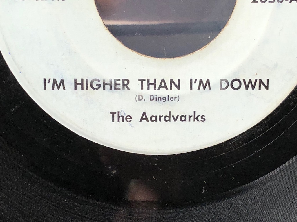 The Aardvarks I’m Higher Than I’m Down on Vark Records Michigan Garage