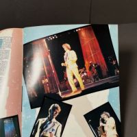 David Bowie Serious Moonlight 1983 Tour Program 8.jpg