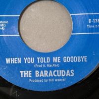 The Baracudas When You Told me Goodbye Downey Records 3.jpg