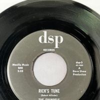 The Shandels Does The Circus Ever Close b:w Rick’s Tune on DSP Records 6.jpg