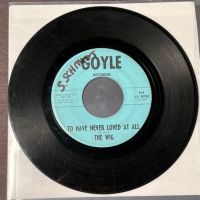 The Wig Drive It Home on Goyle Records 7.jpg