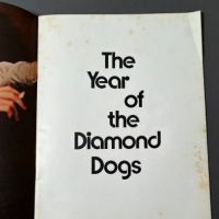 Diamond Dogs Tour Program 4.jpg