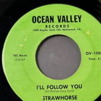 Strawhorse  Back To The Simple Life b:w I’ll Follow You on Ocean Valley Records 8.jpg