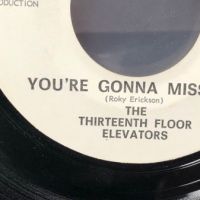 The 13th Floor Elevators You’re Gonna Miss Me on Contact Records 3.jpg