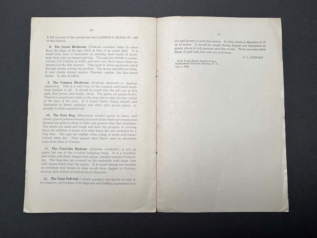 Mushrooms and Other Common Fungi 1915 US Department Of Agriculture ...