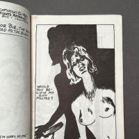 Lana By Raymond Pettibon Numbered 320 Stapled Book 1984 SST 4.jpg