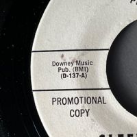 The Last Word Sleepy Hollow on Downey Records White Label Promo 4.jpg