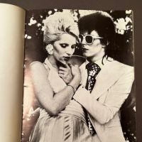 Diamond Dogs Tour Program 7.jpg