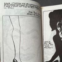 Lana By Raymond Pettibon Numbered 320 Stapled Book 1984 SST 5.jpg