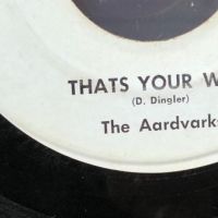 The Aardvarks I’m Higher Than I’m Down on Vark Records 8.jpg