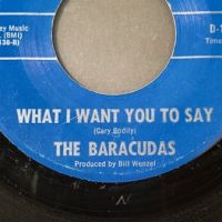 The Baracudas When You Told me Goodbye Downey Records 8.jpg