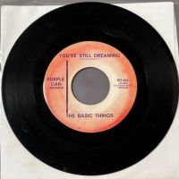 The Basic Things Ninety Nine and A Half b:w You’re Still Dreaming on Purple Can Records 5.jpg