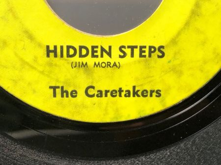 The Caretakers You Don't Have To Pretend : Hidden Steps on Worm Records 11.jpg