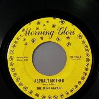 2 The Mind Garage Reach Out b:w Asphalt Mother on Morning Glori 6.jpg