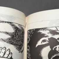 Lana By Raymond Pettibon Numbered 320 Stapled Book 1984 SST 6.jpg