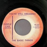 The Basic Things Ninety Nine and A Half b:w You’re Still Dreaming on Purple Can Records 6.jpg