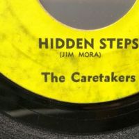 The Caretakers You Don't Have To Pretend : Hidden Steps on Worm Records 11.jpg